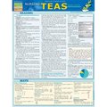 Barcharts BarCharts 9781423225959 Nursing Teas Guide Quickstudy Easel 9781423225959